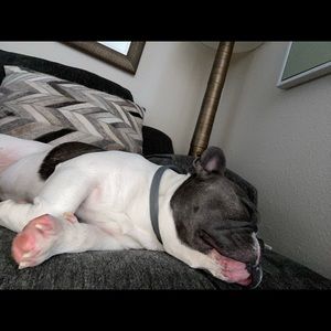 Meet your Posher, Angelie